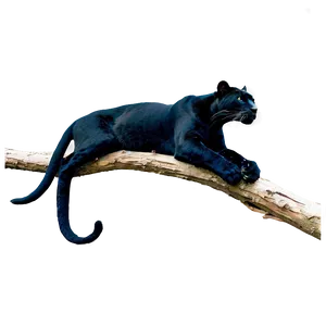 Panther On Branch PNG Edn