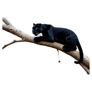 Panther On Branch Png Flw50 PNG image