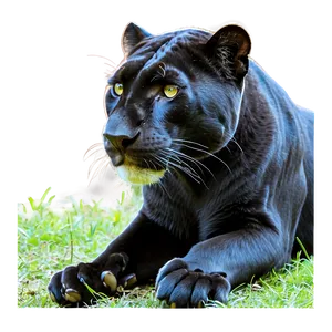 Panthers Family Wildlife Png 7 PNG image