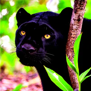 Panthers In Habitat Conservation Png Rss PNG image