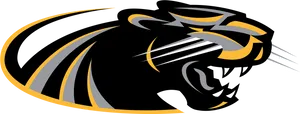 Panthers Team Logo PNG image