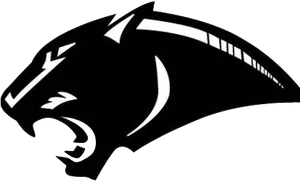 Panthers Team Logo