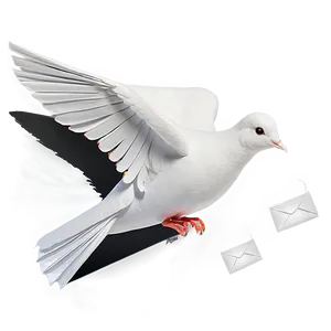 Paper Dove PNG Ago PNG