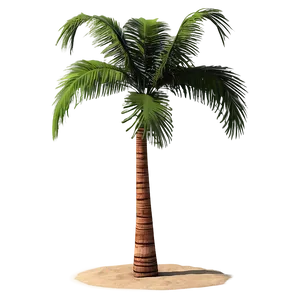 Paradise Beach Palms PNG Exe34 PNG