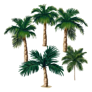 Paradise Palm Tree Outline PNG 9 PNG