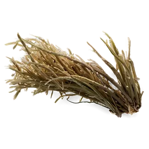 Parched Grass PNG Rqv PNG