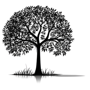 Park Tree Silhouette Png 70 PNG image