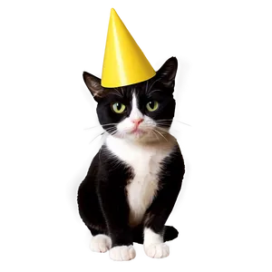 Party Cat Meme PNG 05212024 PNG