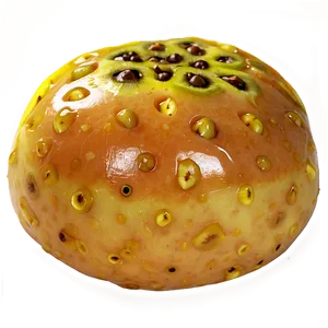 Passion Fruit Glaze PNG Pqo
