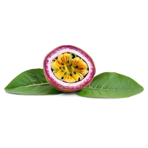 Passion Fruit Presentation PNG 06252024