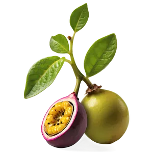 Passion Fruit Seedling Plant Png Pmw PNG image