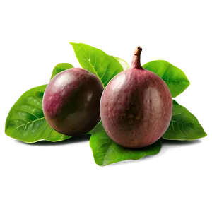 Passion Fruit Seedling Plant PNG Ruv69 PNG
