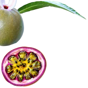 Passion Fruit Tropical Ambiance PNG 06252024 PNG