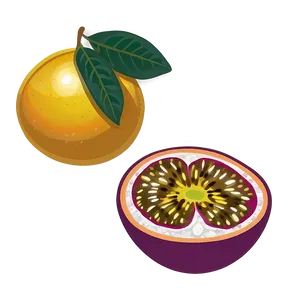 Passion Fruit Tropical Ambiance PNG 06252024