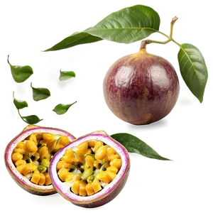 Passion Fruit Tropical Ambiance Png 47 PNG image