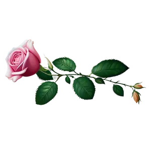 Past Era Rose PNG 13 PNG