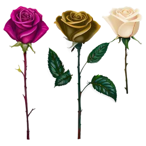 Past Era Rose PNG Ope PNG