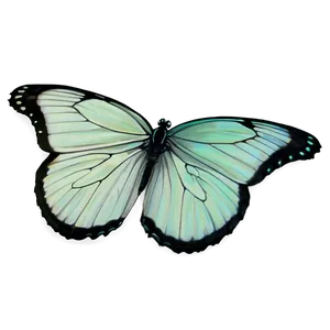 Pastel Green Butterfly Png 06202024 PNG image