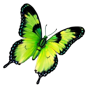 Pastel Green Butterfly PNG 06202024