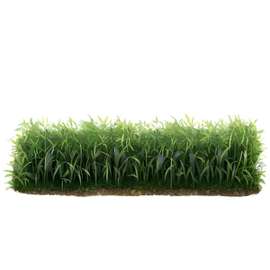 Patchy Lawn Grass Png Jps PNG image