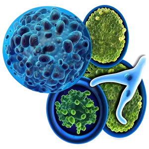 Pathogenic Bacteria PNG Mao52 PNG