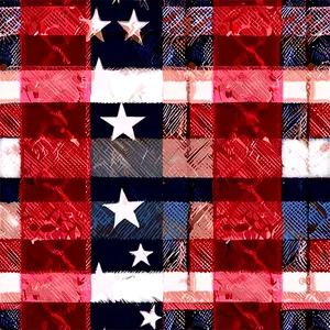 Patriotic American Plaid PNG 06272024