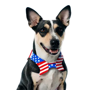 Patriotic Dog Costume On 4th Of July Png Mfs PNG image