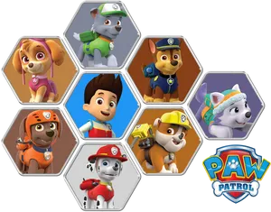 Paw Patrol Characters Collage PNG image