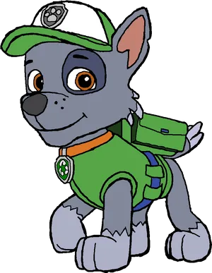 Paw Patrol Rocky Character Illustration PNG image