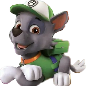 Paw Patrol Rocky Character Image PNG image