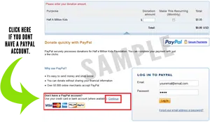 Pay Pal Donation Checkout Screen Sample PNG image