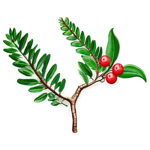 Peace Laurel Branch PNG 06262024