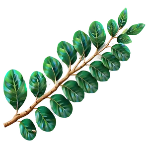 Peace Laurel Branch PNG Uvb1