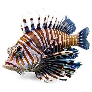 Peaceful Lionfish PNG Avq82