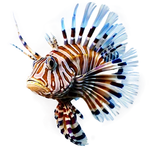 Peaceful Lionfish PNG Jkx75 PNG