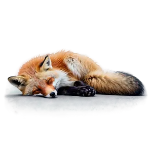 Peaceful Sleeping Fox Png 56 PNG image