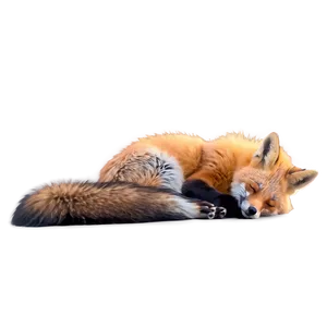 Peaceful Sleeping Fox Png Lfj15 PNG image