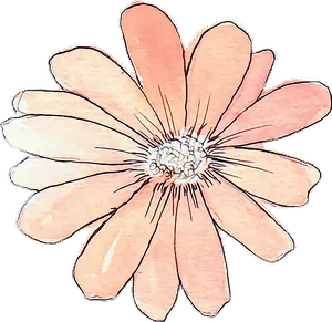 Peach Colored Sketch Flower.png