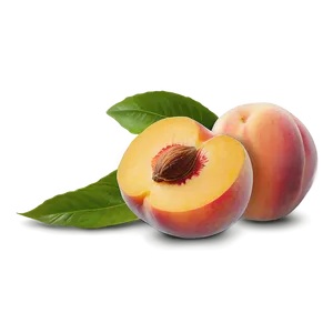 Peach Kernel Seed Png Pbn47 PNG image