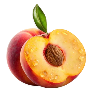Peach Kernel Seed Png Rli PNG image