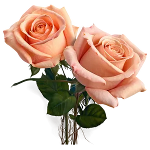 Peach Roses Bouquet PNG Rpj36 PNG