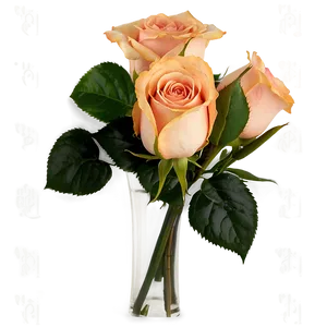 Peach Roses Bouquet PNG Yhk43 PNG