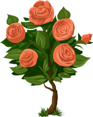 Peach Roses Illustration PNG image