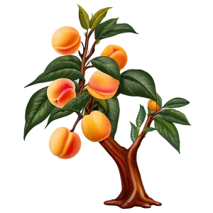 Peach Tree Png 06282024 PNG image