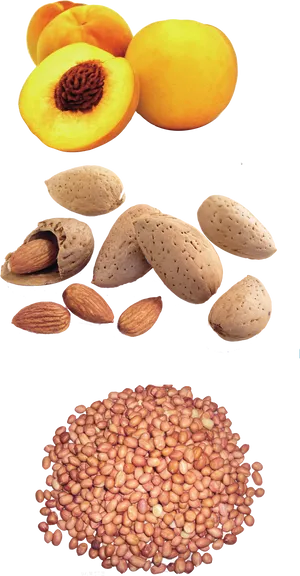 Peaches Almonds Seeds Progression PNG image