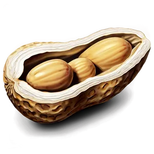 Peanut In Shell Closeup Png 05252024 PNG image