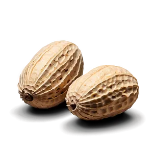 Peanut In Shell Closeup Png 46 PNG image