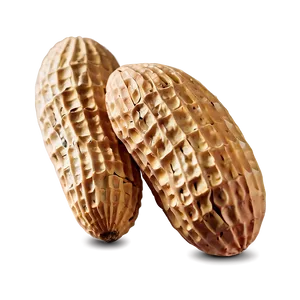 Peanut In Shell Closeup Png 63 PNG image