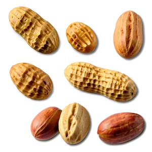 Peanut Png Ovb56 PNG image