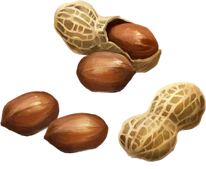 Peanuts Illustration PNG